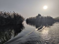 -白洋淀风景区