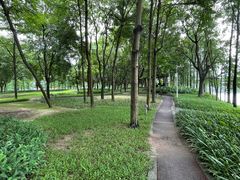 -顺峰山公园