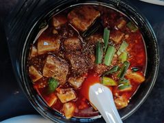 -陈麻婆豆腐总店