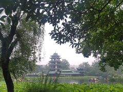 -桂湖森林公园