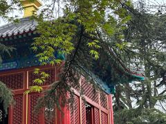 -湛山寺