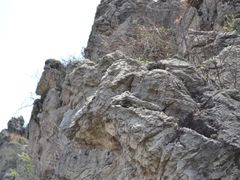-长虫山生态公园风景林