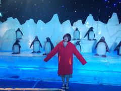 -济南方特东方神画