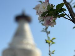 -妙应寺白塔