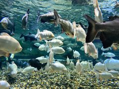 -成都浩海立方海洋公园