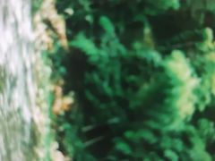 -将军关探险漂流