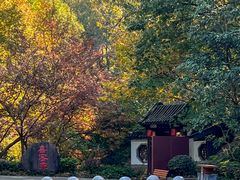 -句容茅山景区