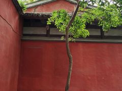 -乌山风景区