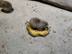 -苏州海洋馆