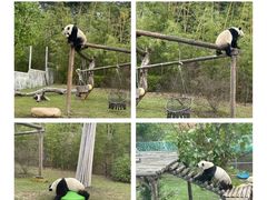 -南京汤山紫清湖生态旅游温泉度假区