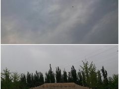 -永定河休闲森林公园