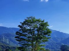 -广州市石门国家森林公园