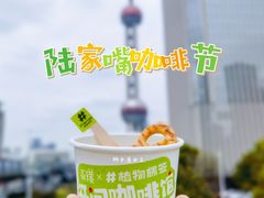 -陆家嘴中心绿地