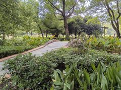 -东湖落雁景区
