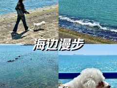 -青岛海滨风景区