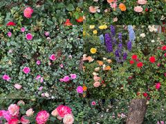 -人民公园(罗湖区)