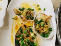 象拔蚌-原味蒸汽海鲜(嵊泗店)