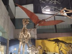 -湖南省地质博物馆