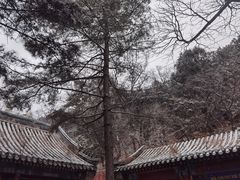 -潭柘寺景区