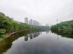 -重庆彩云湖湿地公园