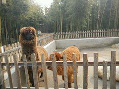 -兰陵国家农业公园