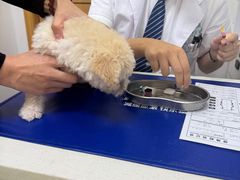 -博特宠物医院24h犬猫全科.骨科·异宠