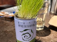 -很久以前羊肉串(昌里路三钢里店)