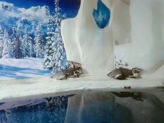 -左海海底世界