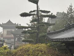 -都江堰石锅鱼
