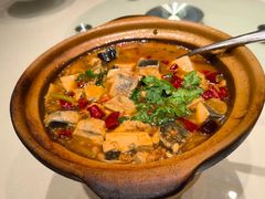 -杨氏青龙虾·羊蝎子(金盛路总店)