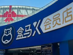 -盒马X会员店(王府井奥莱UP TOWN店)