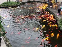 -成飞公园