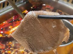 -雾都渣渣火锅(南城智汇城店)