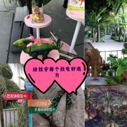 -恐龙探索乐园(磁器口店)