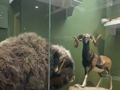 -国家自然博物馆