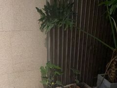 -王府茶楼茶宴·创意菜(朝阳公园店)