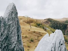 -折多山