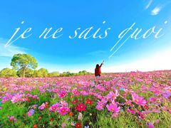 -花开海上生态园