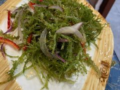高原鹿角菜-老白驼退骨特色美食