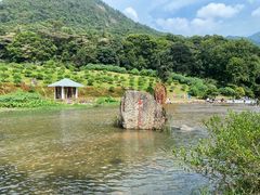 -广州市石门国家森林公园