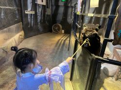 -酷嗒动物文化乐园(cutezoo西溪乐天城店)