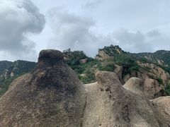 -大岭沟猕猴桃谷风景区