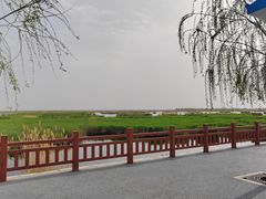 -包头南海湿地景区