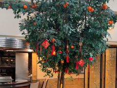 -威斯汀舞台餐厅