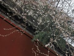 -西安市广仁寺