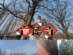 -襄阳古城