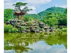 -顺峰山公园