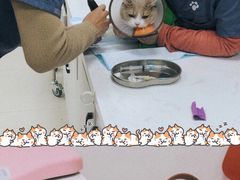 -福州肆爪动物医院