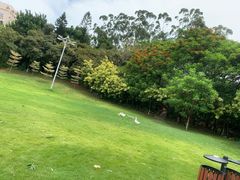 -厦门悦华酒店