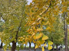 -东钱湖旅游度假区